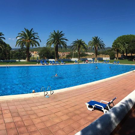 Greenchalets Costa Brava بالاموس المظهر الخارجي الصورة