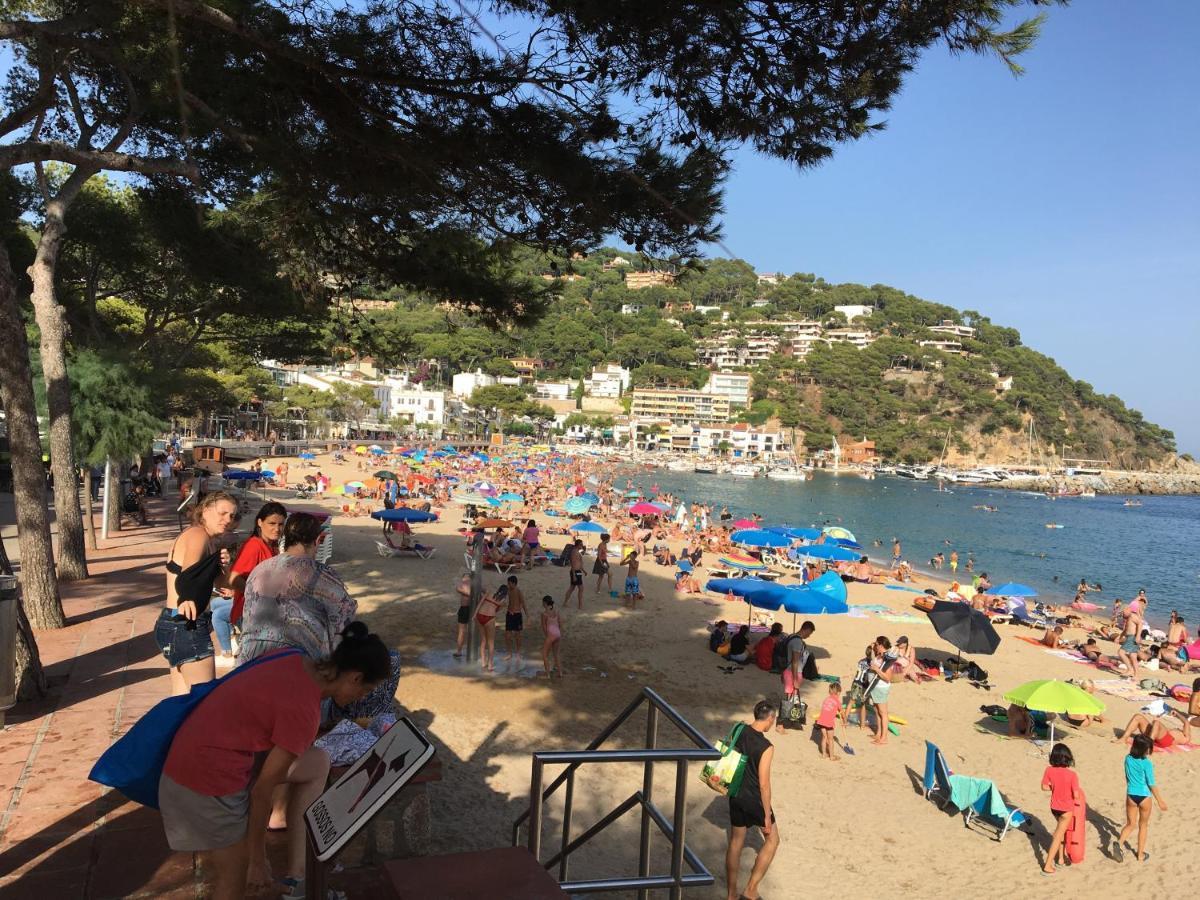 Greenchalets Costa Brava بالاموس المظهر الخارجي الصورة